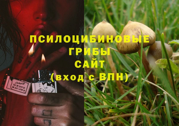 каннабис Майский