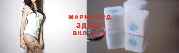 альфа пвп VHQ Магас