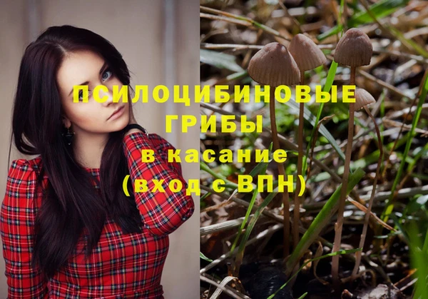 каннабис Майский