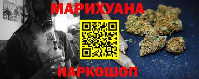гидропоника Новозыбков