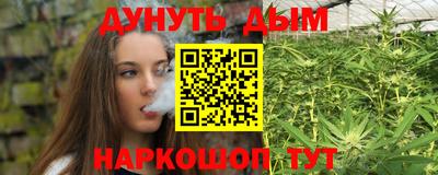гидропоника Новозыбков