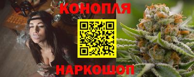 гидропоника Новозыбков