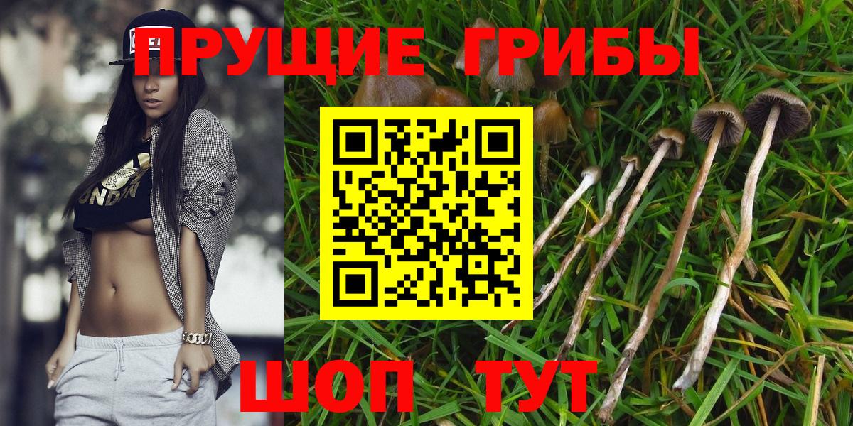 Псилоцибиновые грибы мухоморы Полысаево